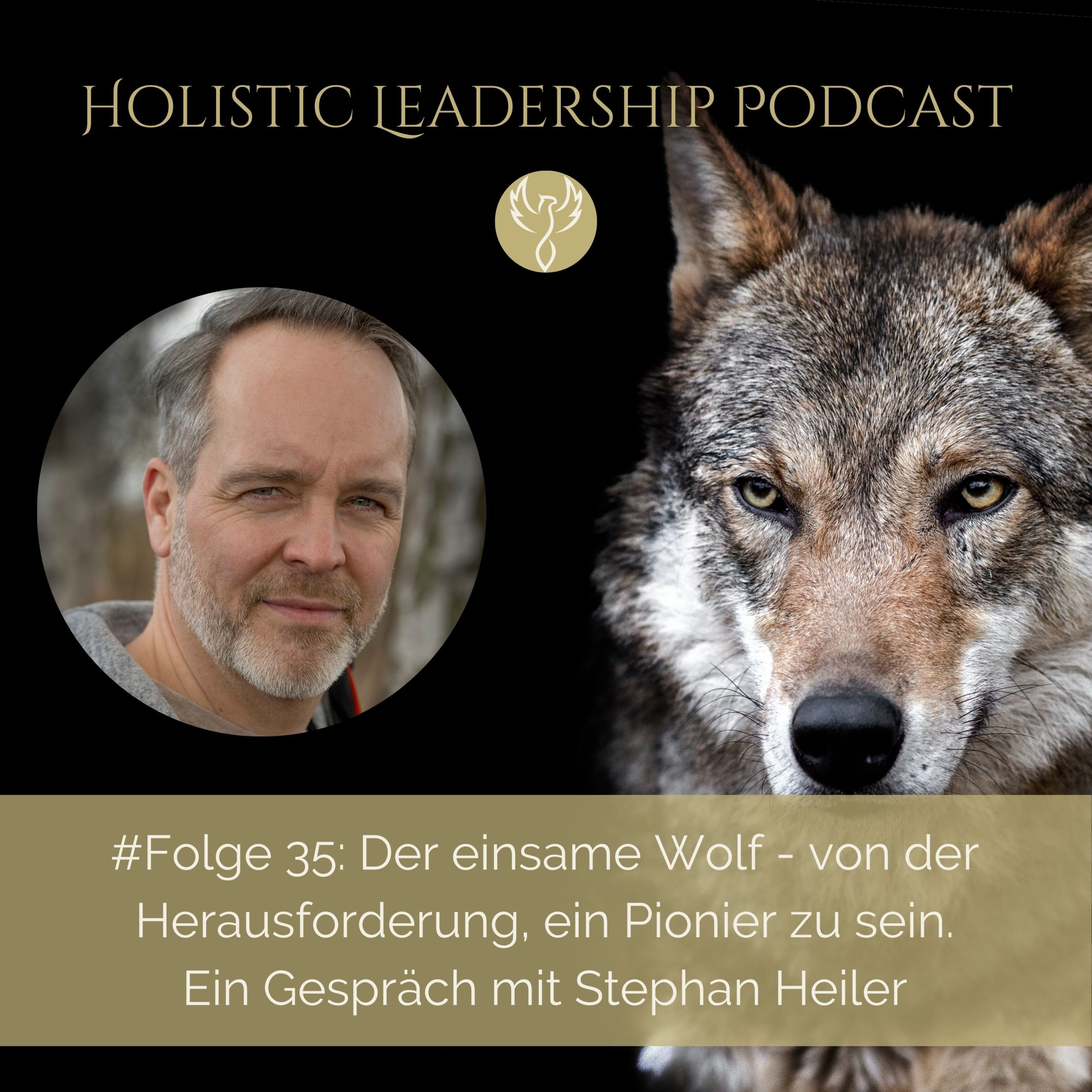 Podcast, Stephan Heiler, Unternehmer, Unternehmen, Transoformation